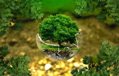 Ecologia_sustentabilidade